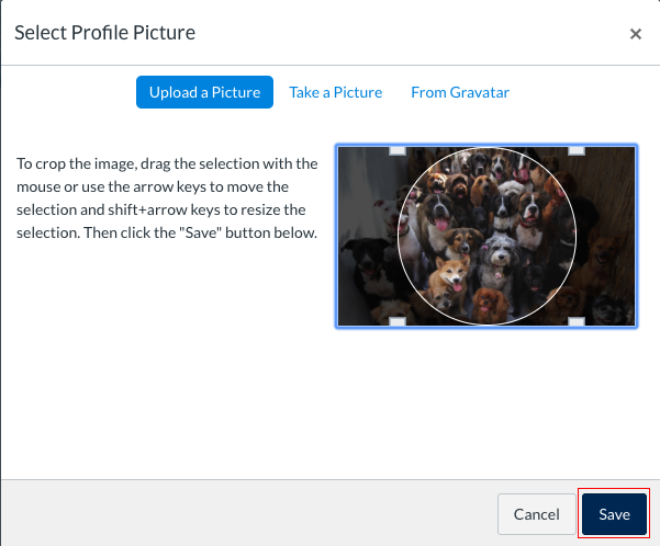 Select profile photo